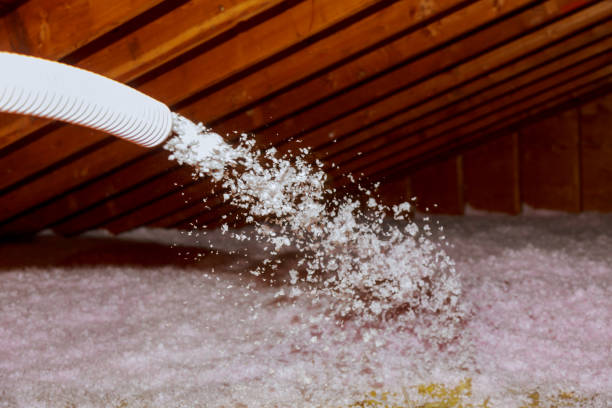 Best Insulation Maintenance and Repair in Grafton, WV