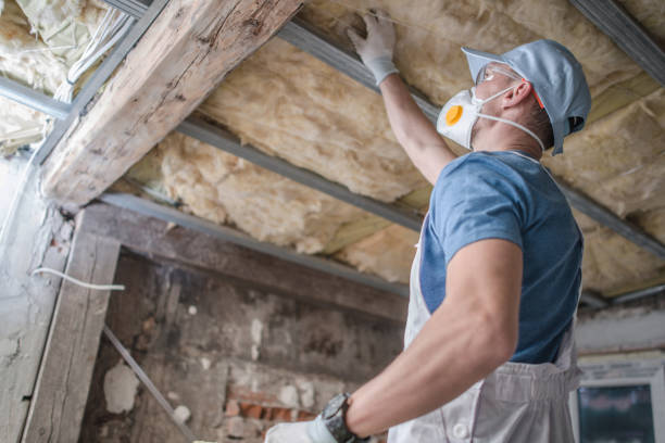 Best Geographic-Specific Insulation Services in Grafton, WV
